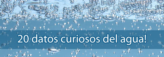 curiosidades del agua curiosidades del agua