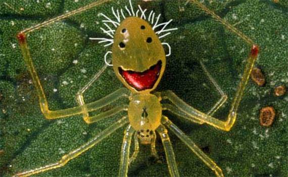 fotos en el momento justo 