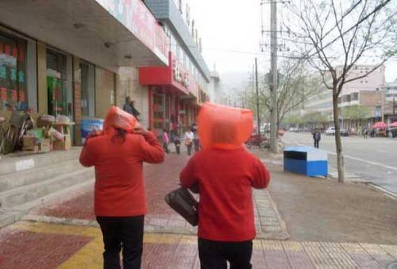 imagenes raras y divertidas