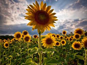 Wallpapers paisajes hd