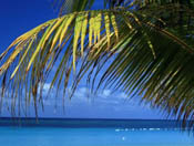 Wallpapers paisajes hd