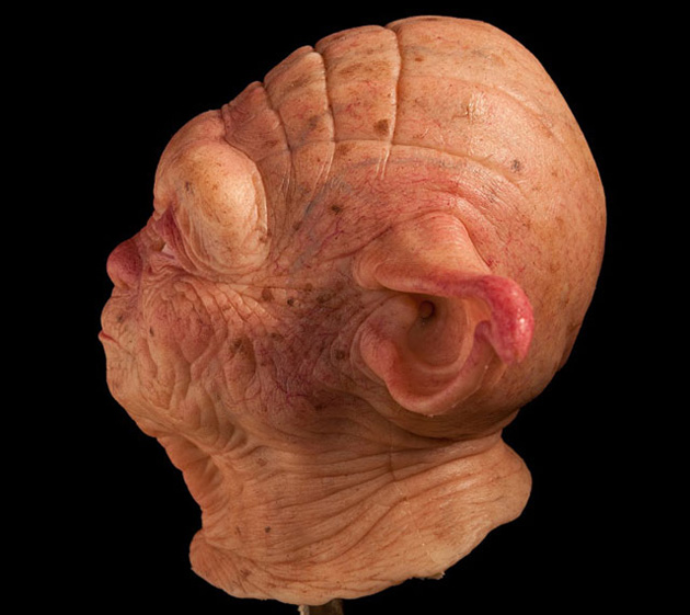 Escultura realista maestro Yoda 