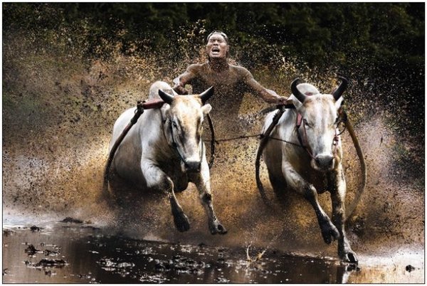 Impresionantes fotos sin photoshop