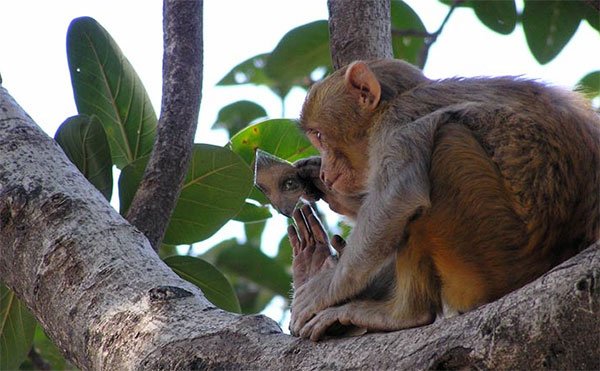 Impresionantes fotos sin photoshop