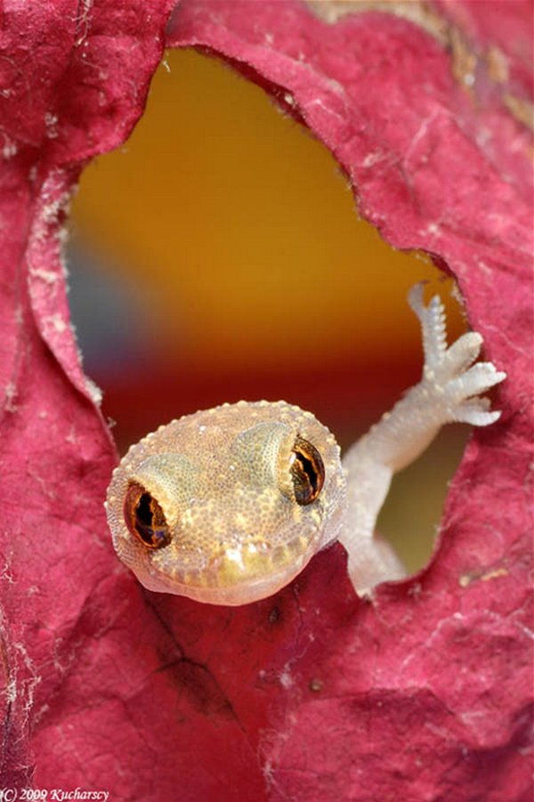 Impresionantes fotos sin photoshop