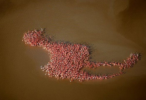 Impresionantes fotos sin photoshop