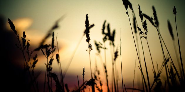 Twitter covers image