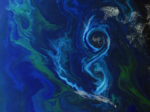 phytoplankton-bloom