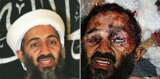 La Muerte de Bin Laden – Fotos y videos foto de bin laden muerto