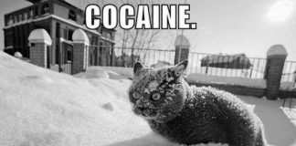 Imágenes graciosas y ridículas – Parte 15 imagenes graciosas y ridiculas 15