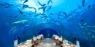 Ithaa: El Restaurante Submarino en las Maldivas ithaa restaurante submarino en maldivas