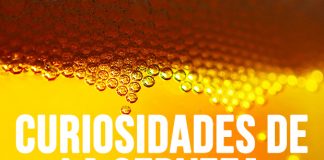 15 Datos curiosos de la cerveza